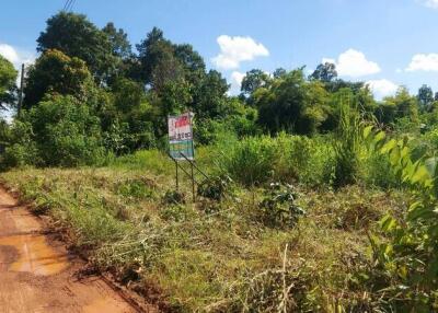 Open land with greenery