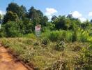 Open land with greenery