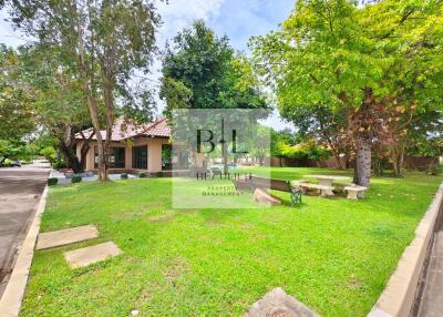 House with front yard and trees