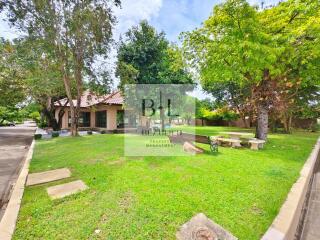 House with front yard and trees