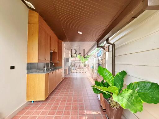 Narrow kitchen with wooden cabinets and plants