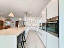 Modern kitchen with island and built-in appliances