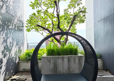 Outdoor seating area with foliage