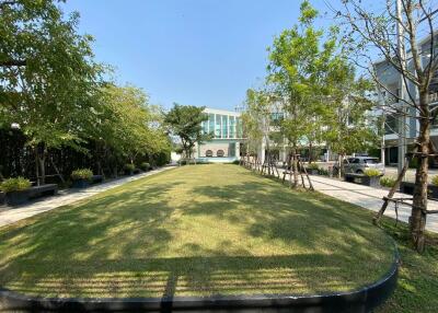 Outdoor garden area with trees and lawn