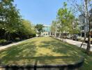 Outdoor garden area with trees and lawn