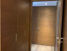 Modern hallway with wooden doors and flooring