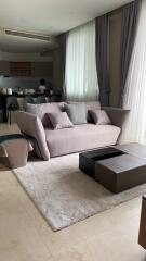 Modern living room with gray sofa and coffee table