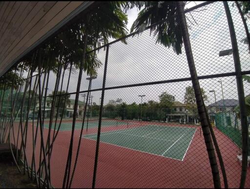 Outdoor tennis court with fencing and surrounding trees