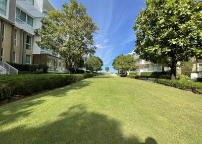 Lush green lawn surrounded by apartment buildings on a sunny day