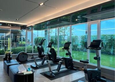 Modern gym with equipment and large windows