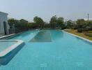 Outdoor swimming pool with landscaped surroundings