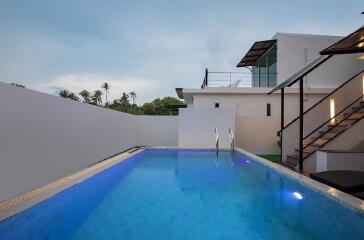 Modern house with swimming pool