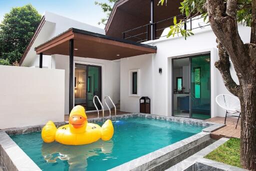 Outdoor area with a swimming pool and inflatable duck float