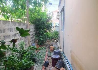 Backyard with overgrown vegetation and building exterior