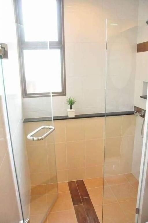 Modern bathroom with glass shower and window