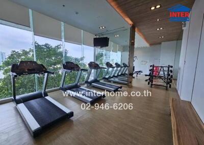 Modern gym with treadmills and weightlifting equipment