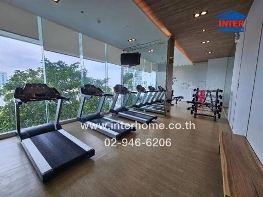 Modern gym with treadmills and weightlifting equipment