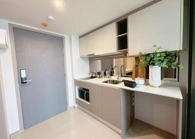 Modern kitchen with grey cabinetry and potted plant on countertop