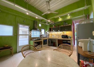 Modern kitchen with green walls