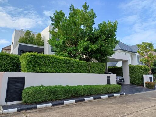 Front view of a modern house with lush greenery