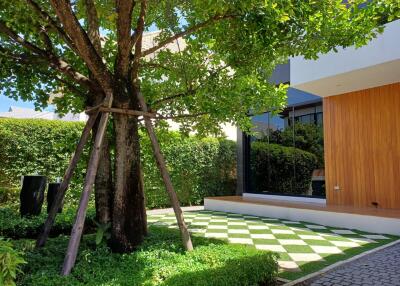 Beautifully landscaped garden area