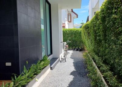 Narrow exterior space with gravel pathway and hedges