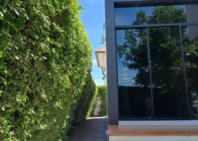 Modern exterior view with large windows and lush greenery