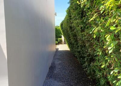 Narrow pathway beside a house with hedge