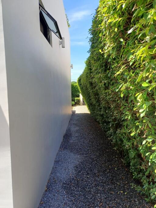 Narrow pathway beside a house with hedge