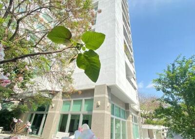 Exterior of modern high-rise residential building with amenities