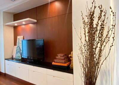 Living room with TV, modern decor, and storage cabinets