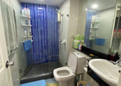 Modern bathroom with shower and toilet