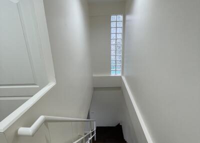 Modern staircase with dark steps and white railings