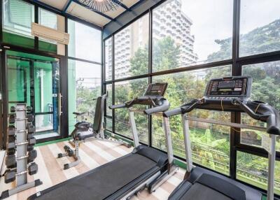 Modern indoor gym with cardio and strength equipment overlooking lush greenery.