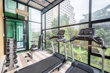 Modern indoor gym with cardio and strength equipment overlooking lush greenery.