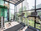 Modern indoor gym with cardio and strength equipment overlooking lush greenery.