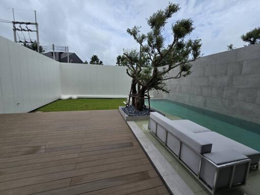 Modern outdoor space with wooden deck, green lawn, and a pool with a tree