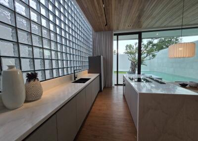 Modern kitchen with island and glass wall