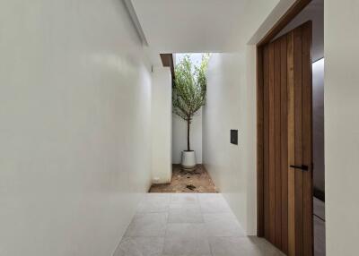 Modern hallway with a small indoor courtyard and a wooden door