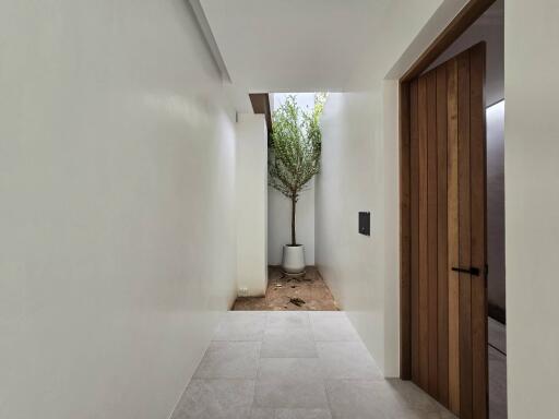 Modern hallway with a small indoor courtyard and a wooden door