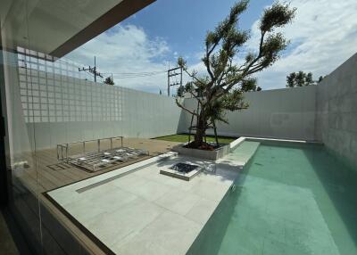 Modern backyard with pool and a tree