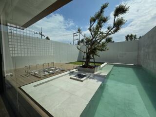 Modern backyard with pool and a tree