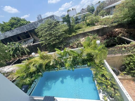 View of backyard with swimming pool and lush greenery