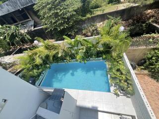 Aerial view of a backyard pool surrounded by foliage