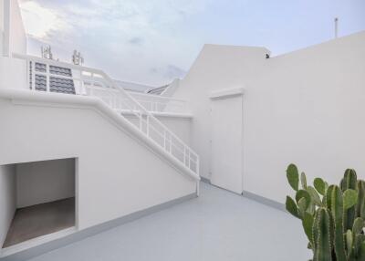 Modern rooftop terrace with white walls and a cactus plant