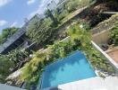 Swimming pool with surrounding greenery