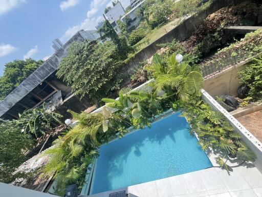 Swimming pool with surrounding greenery