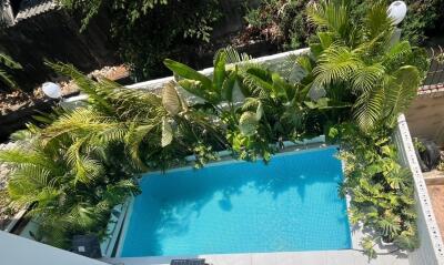 Aerial view of a swimming pool surrounded by lush greenery