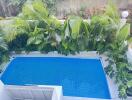 Outdoor private swimming pool with lush greenery