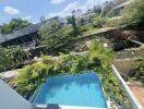 Aerial view of a backyard with a swimming pool and lush greenery.